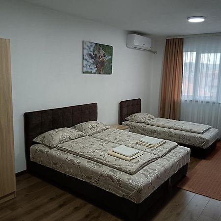 Apartmani Centar Сьєниця Екстер'єр фото