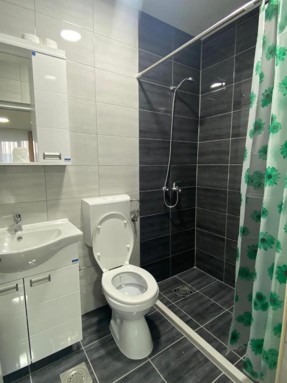 Apartmani Centar Сьєниця Екстер'єр фото