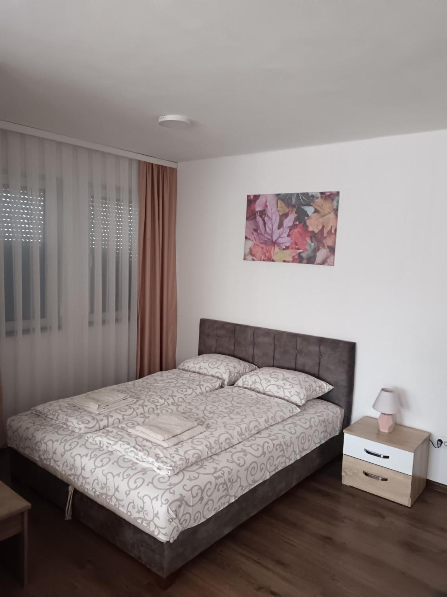 Apartmani Centar Сьєниця Екстер'єр фото